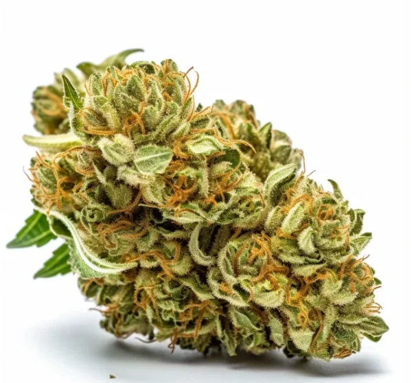 Buy Sour Diesel Marijuana in Dubai